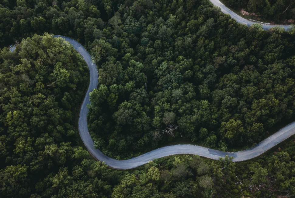 Beyond Pigeon Forge: Road Trips to Discover the Surrounding Beauty